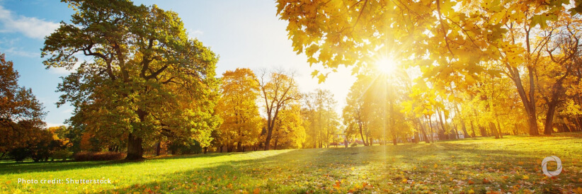 Record-breaking temperatures continue in August Record-breaking temperatures continue in August