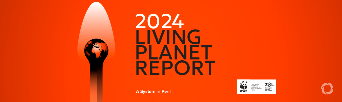 Catastrophic 73% decline in the average size of wildlife populations in just 50 years reveals a ‘system in peril’ - WWF’s Living Planet Report