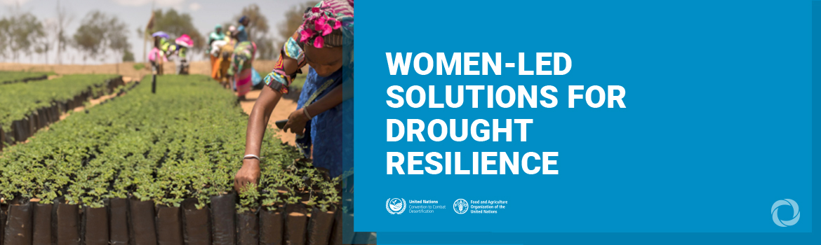 Women at the forefront of combаting drought