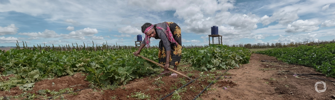 International Soil and Water Forum 2024