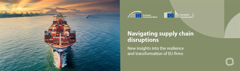 Report underscores the need for strategic responses on strengthening EU firms' resilience and competitiveness amid supply chain disruptions