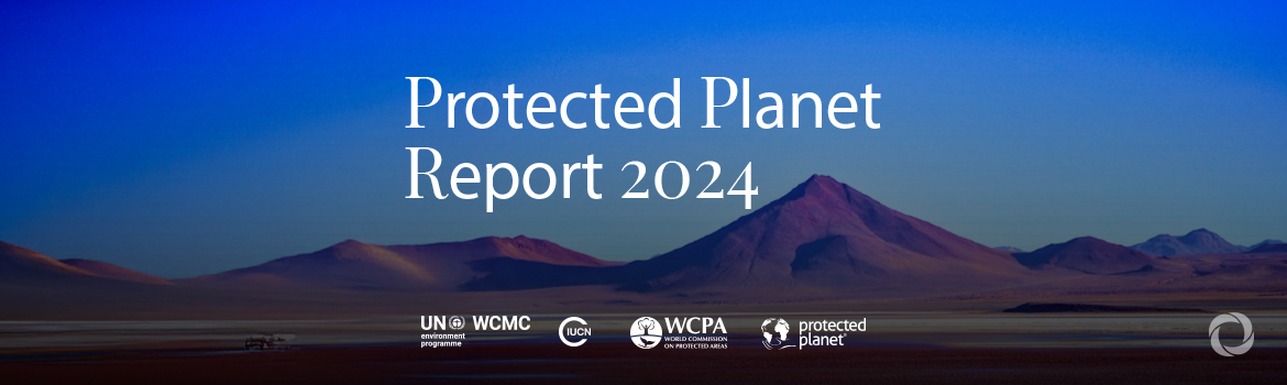 World must act faster to protect 30% of the planet by 2030 – Protected Planet Report 2024