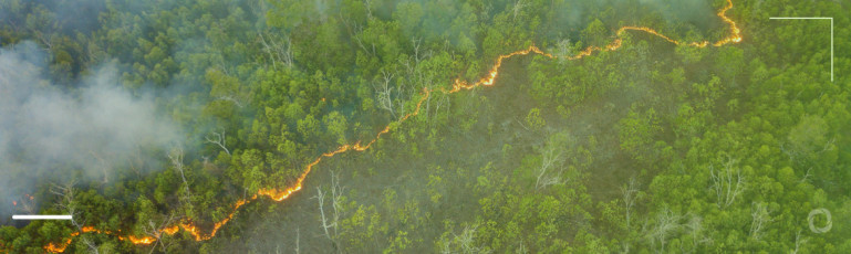 Wildfires in Brazil destroy hu