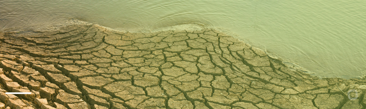 Zimbabwe’s drying rivers threaten livelihoods and wildlife