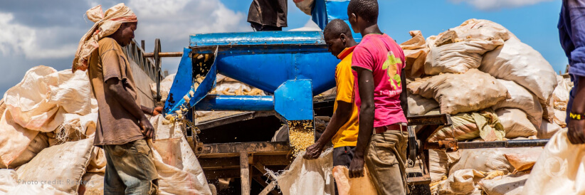 Proparco, Bic-Bred (Suisse) SA and Céréalis renew their partnership to support food security in Africa