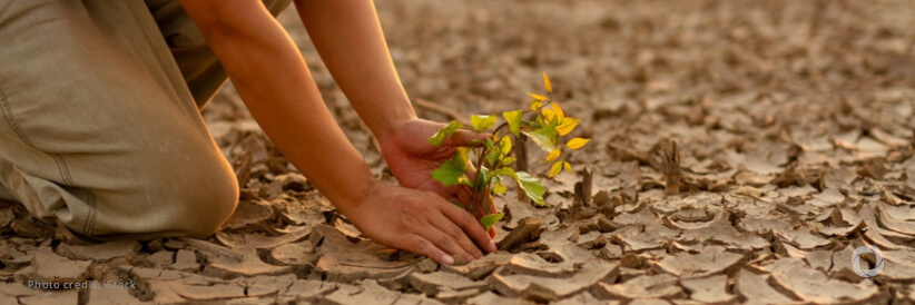 WHO and the Netherlands renew their partnership on climate change and health