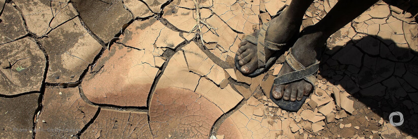 Africa Regional Platform: early warnings reduce disaster risks