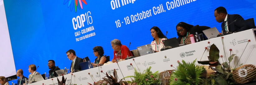 A ‘people’s COP’ to heal the planet: UN biodiversity summit opens in Colombia
