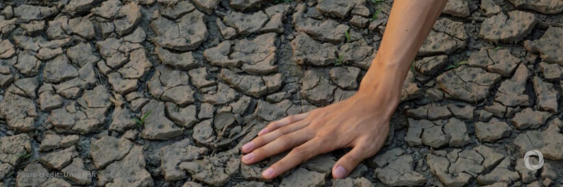 Biodiversity loss is an environmental and humanitarian crisis tackled by promoting disaster risk reduction and resilience building