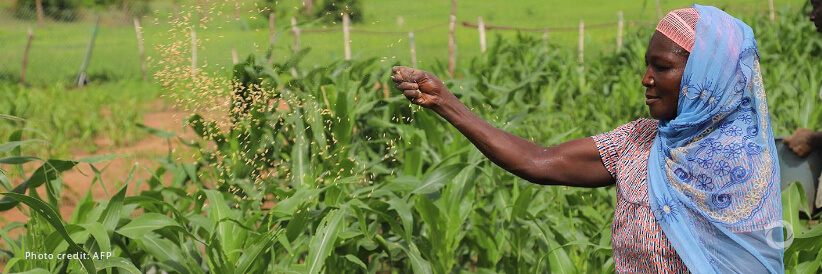 KOICA and WFP boost food security and nutrition in Ghana by supporting youth economic empowerment and digitization KOICA and WFP boost food security and nutrition in Ghana by supporting youth economic empowerment and digitization