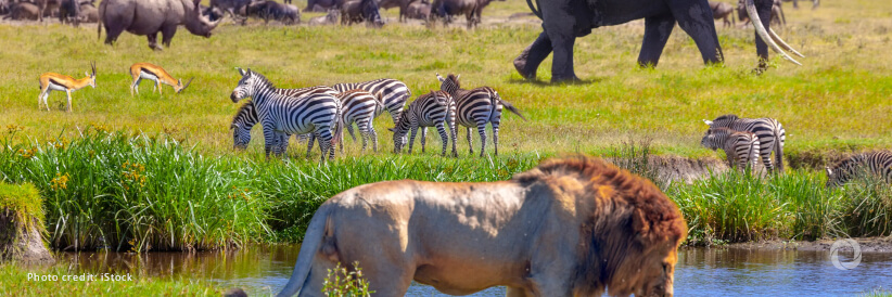 EU announces €12 million support for global biodiversity conservation efforts led by UNDP’s Biodiversity Finance Initiative