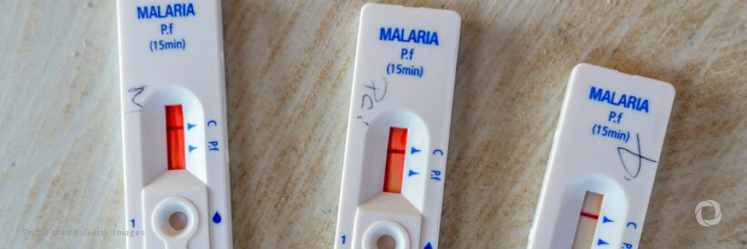 Egypt is certified malaria-free by WHO
