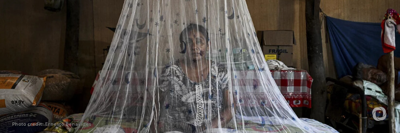 In record year of dengue cases, PAHO urges countries to strengthen response as seasonal transmission set to begin in South America
