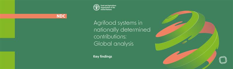 COP29: New FAO analysis maps Nationally Determined Contributions, identifies opportunities, gaps and risks related to agrifood climate solutions