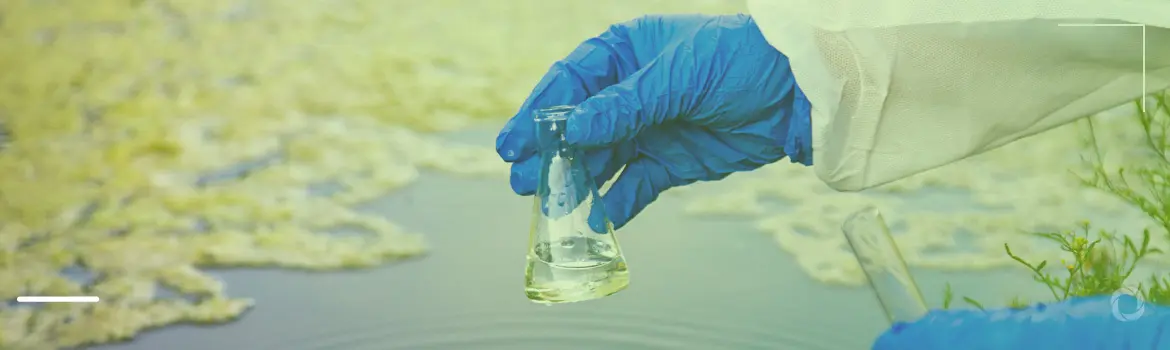Bioremediation: a potential solution to the global water crisis