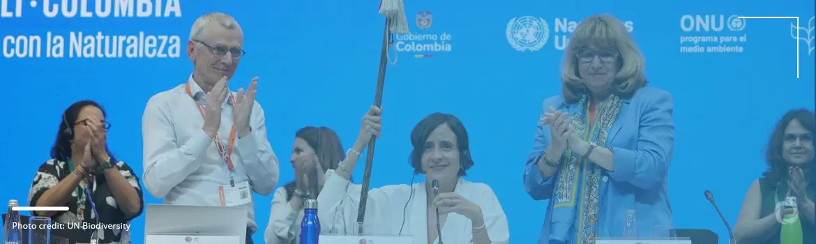 COP16 conference outcomes and how financing disagreements disrupted the event