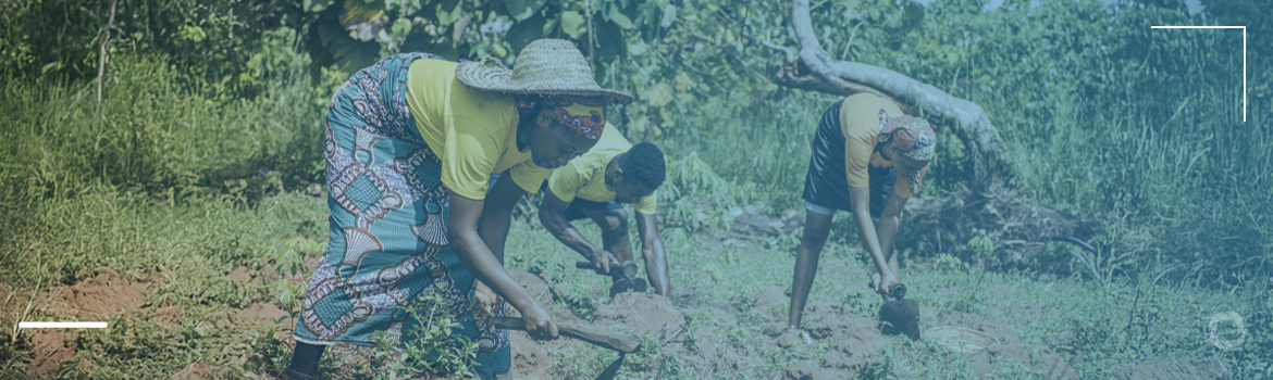 Interventions rehabilitating degraded and arid lands in Africa