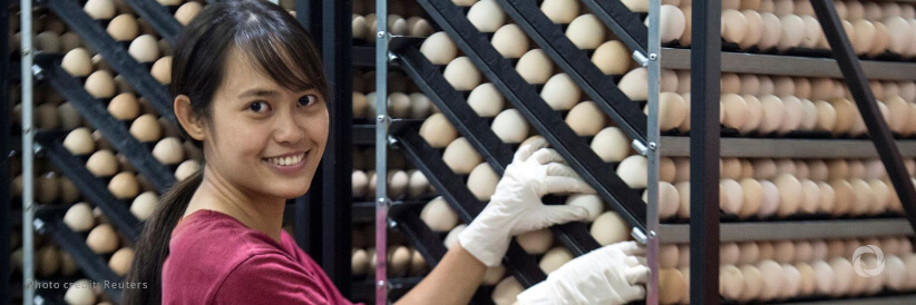 ADB, Mastercard launch innovative partnership to finance MSMEs in Asia and the Pacific