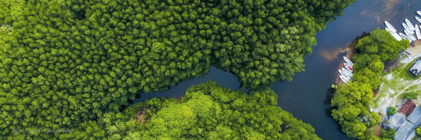 Green Climate Fund announces support for adaptation, endorsement of COP initiatives