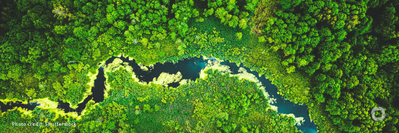 UK confirms help for developing countries to tackle climate change and build greener future