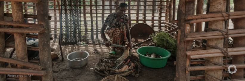 DRC: FAO urges greater focus on humanitarian needs of vulnerable populations and implementation of at-scale programming to strengthen resilience against recurrent shocks