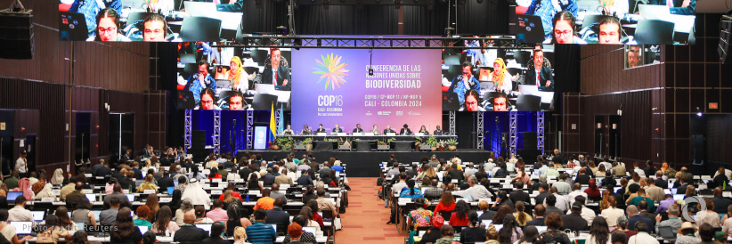 COP16: Landmark biodiversity agreements adopted