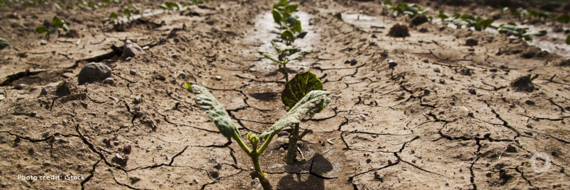 UK, US, and WFP partner to provide lifesaving assistance to 70,000 drought-affected people in northern Ghana