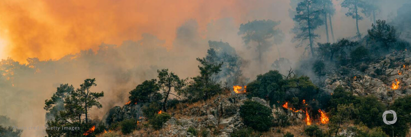 WMO: 2024 is on track to be the warmest year on record