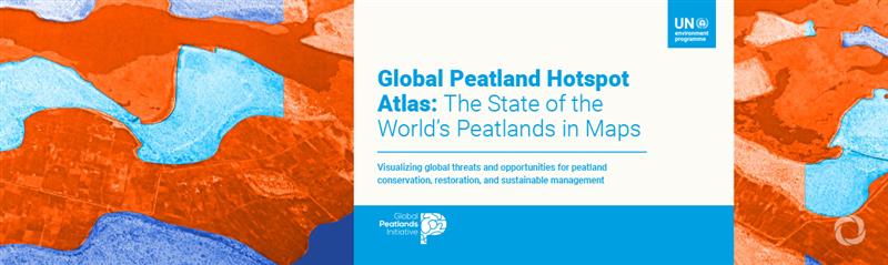 Peatlands degrading in 177 countries, putting climate goals at risk