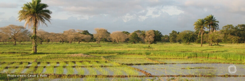 GGGI, CCRS partner to advance green growth in the Sahel Region