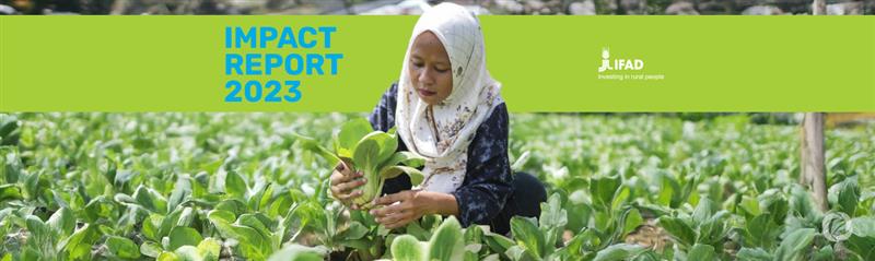 IFAD’s Impact Report 2023: Supporting 8 million rural people through sustainable bonds IFAD’s Impact Report 2023: Supporting 8 million rural people through sustainable bonds
