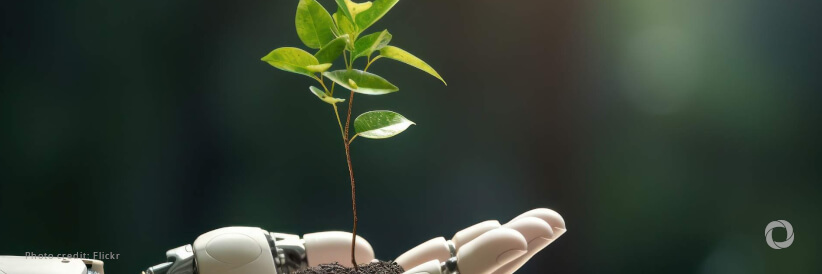 COP29: Digital tech and AI can boost climate action, but curbing the sector’s emissions is key COP29: Digital tech and AI can boost climate action, but curbing the sector’s emissions is key