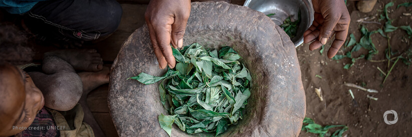 The Republic of Korea strengthens its commitment to food security in Madagascar