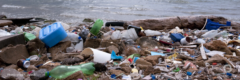 A binding global plastic pollution treaty is the win 2024 needs in a year of dismal environmental gains