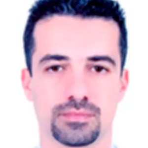 Younes El Ansari, expert in the field of labor, employment, and economic inclusion