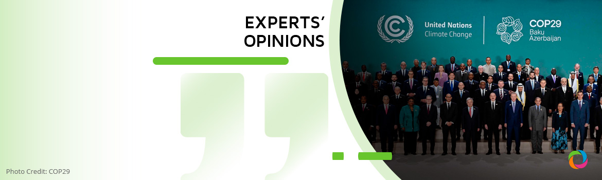 Outcomes and takeaways of COP29 | Experts’ Opinions