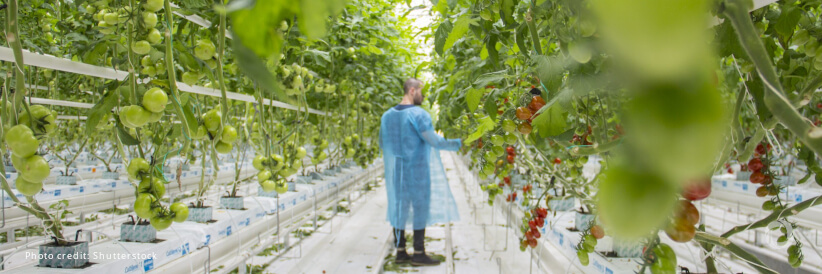 Commission proposes new measures to strengthen farmers' position in the agri-food supply chain and enhance cross-border enforcement against unfair trading practices