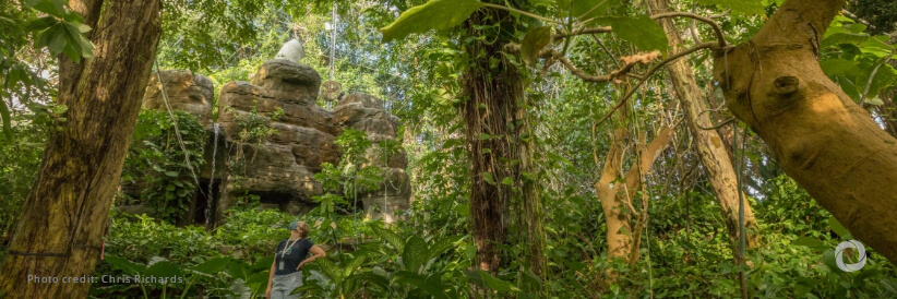 Red Cross Amazon Alliance aims to safeguard lives and strengthen community resilience Red Cross Amazon Alliance aims to safeguard lives and strengthen community resilience