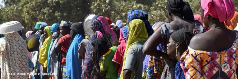 Cameroon: Displaced women struggle to access land in Far North region