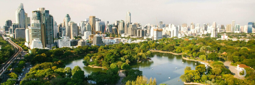 Cities lead the charge against climate change at COP29