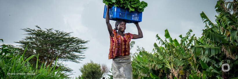 New $282 million program targets climate and environment action through agriculture and food systems