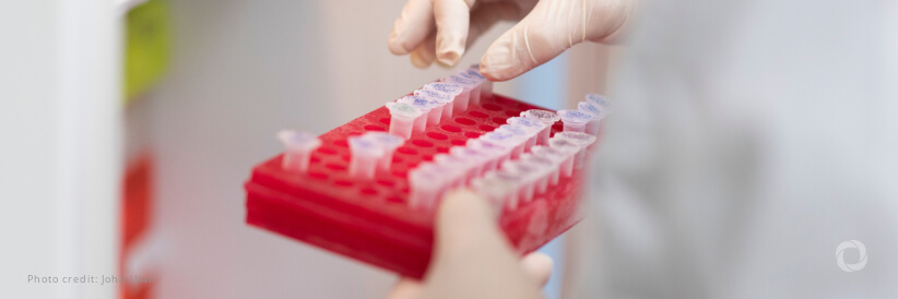 The Pandemic Fund announces third round of funding, marking another milestone in pandemic preparedness