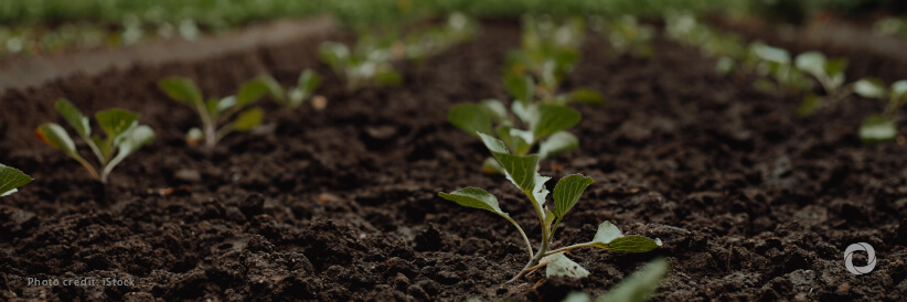 The US commits to disburse an additional US$41.1 million to improve soil health and diversify crop production in Africa