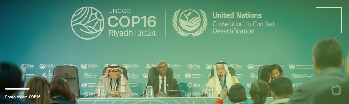 COP16 pledges billions to fight land degradation, fails to reach agreement to address drought COP16 pledges billions to fight land degradation, fails to reach agreement to address drought