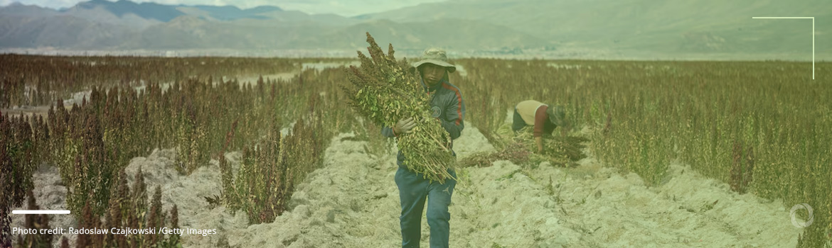 Climate change impact and resilience in Latin America’s rural communities