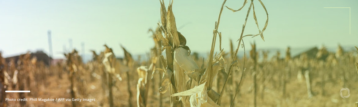 Climate change impact on temperature and rainfall is deepening food insecurity in Africa’s Kenya