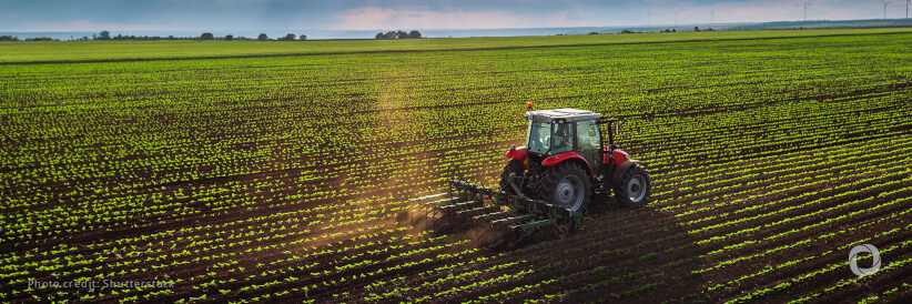 EBRD approves new food and agribusiness strategy
