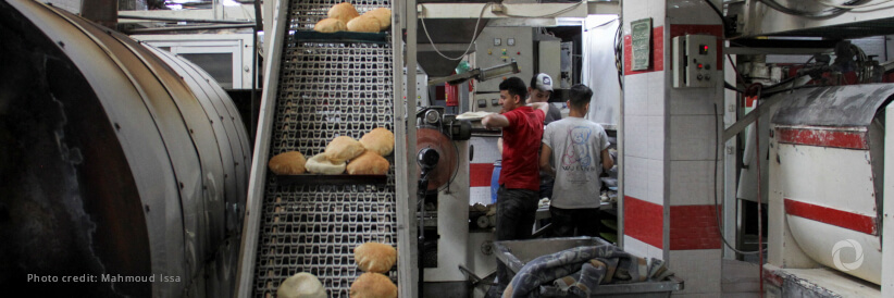 Gaza: Immediate action must combine emergency relief with the restoration of local food production Gaza: Immediate action must combine emergency relief with the restoration of local food production