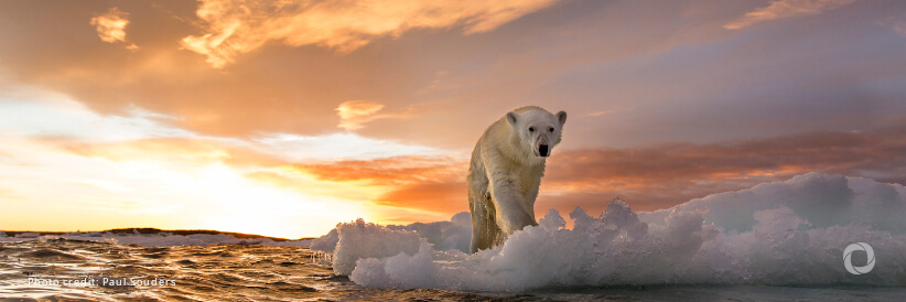 WMO confirms 2024 as warmest year on record at about 1.55°C above pre-industrial level