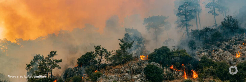 2024 is officially the warmest year on record 2024 is officially the warmest year on record